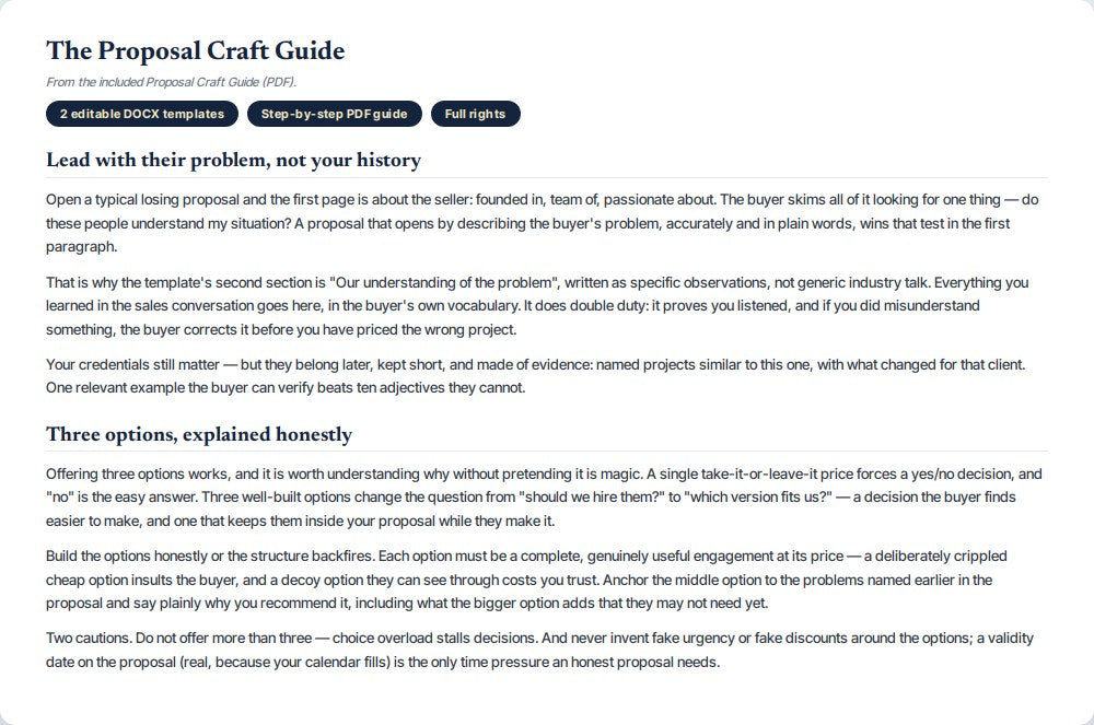 Business Proposal Template — preview 2